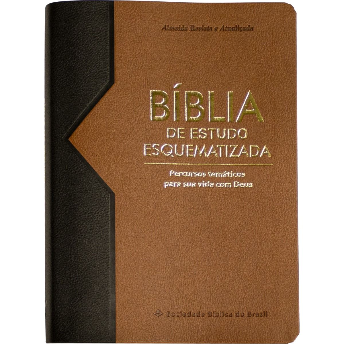 Bíblia de Estudo Esquematizada RA - Castanho