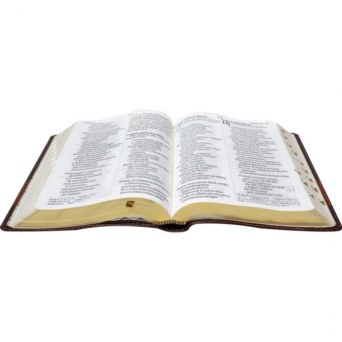 Holy Bible (NAA) Super Giant Print - Brown with Index