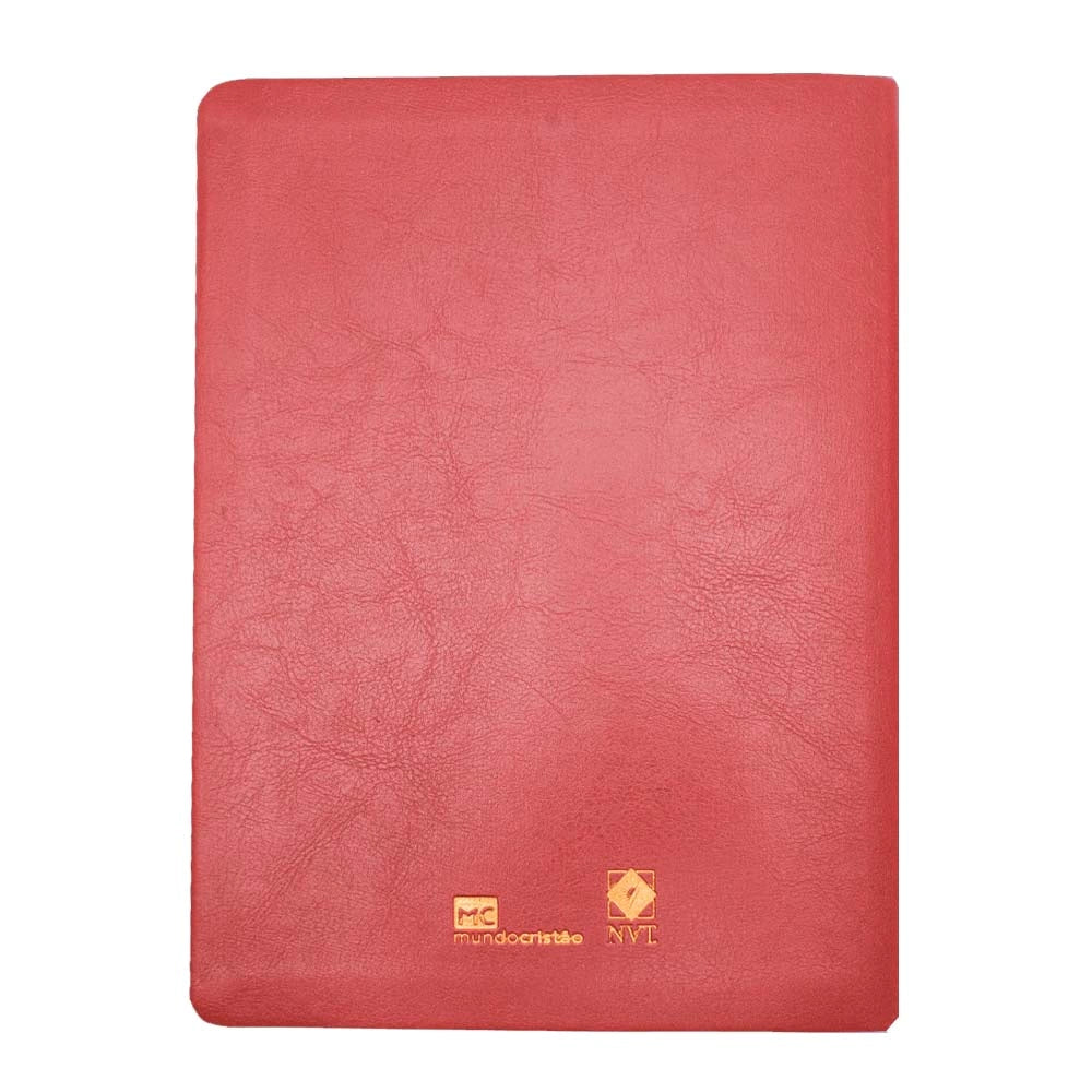 BIBLIA DA MULHER QUE ORA EXPANDIDA