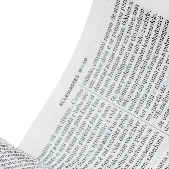 BÍBLIA SAGRADA NTLH LETRA GRANDE – COMPACTA E ELEGANTE (PINK)