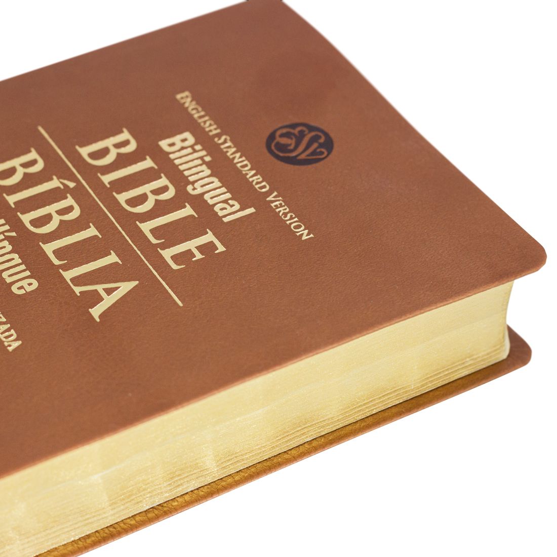 Bíblia Bilíngue Português (NAA) - Inglês (ESV)