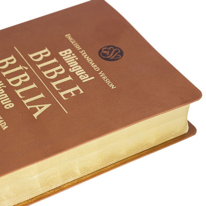 Bíblia Bilíngue Português (NAA) - Inglês (ESV)
