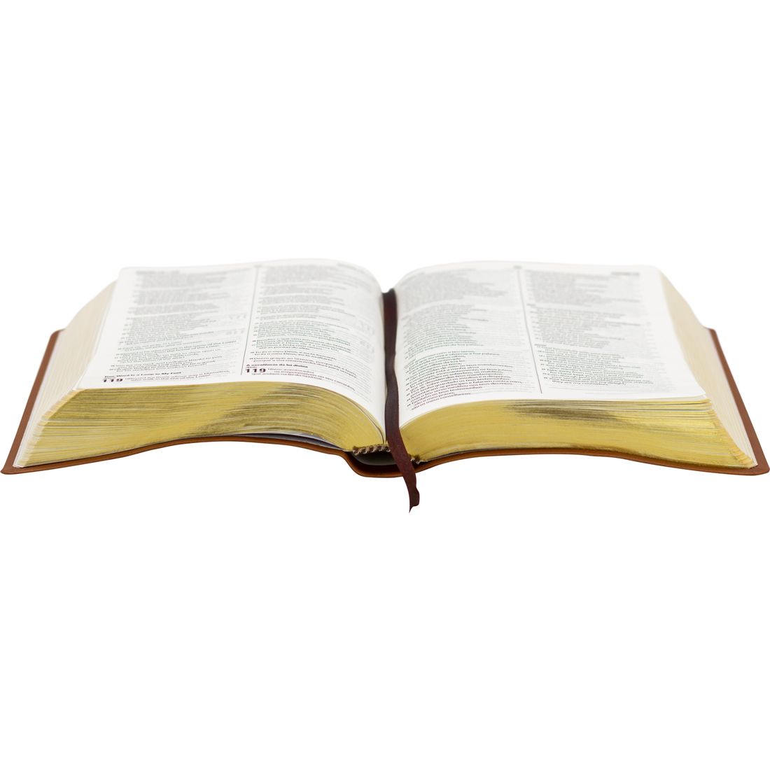 Bíblia Bilíngue Português (NAA) - Inglês (ESV)
