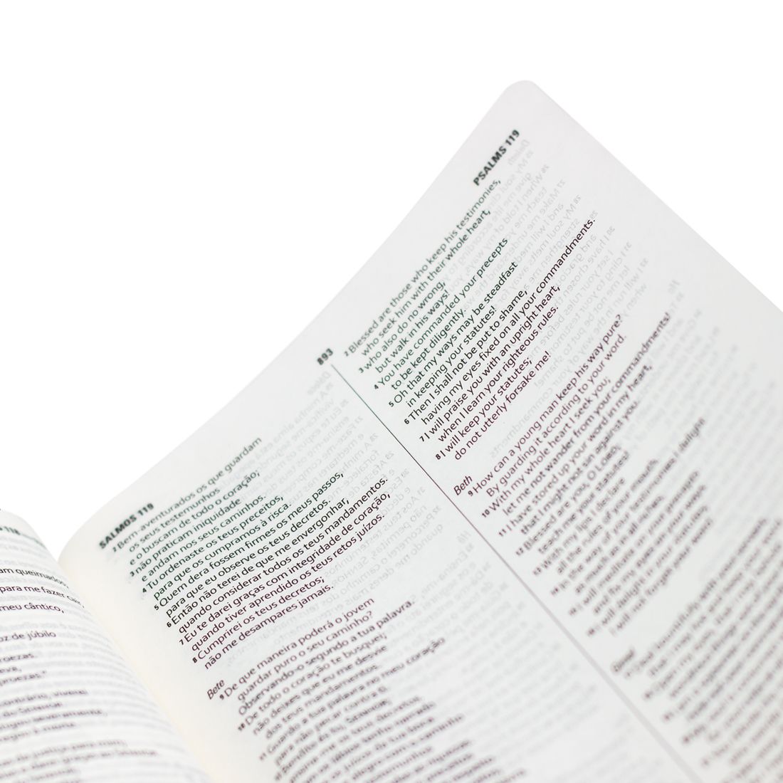 Bíblia Bilíngue Português (NAA) - Inglês (ESV)