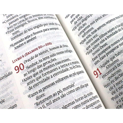 Woman's Study Bible | NLT | Pink Cover