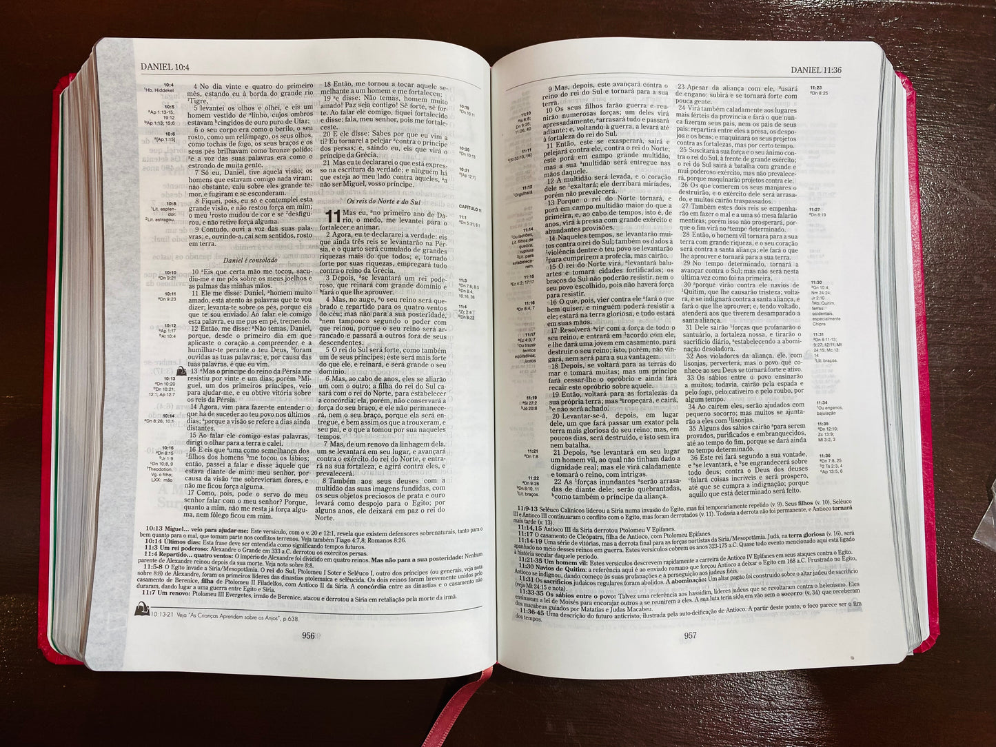 BÍBLIA DE RECURSO PARA MINISTÉRIO COM CRIANÇAS - CAPA LUXO - ROSA