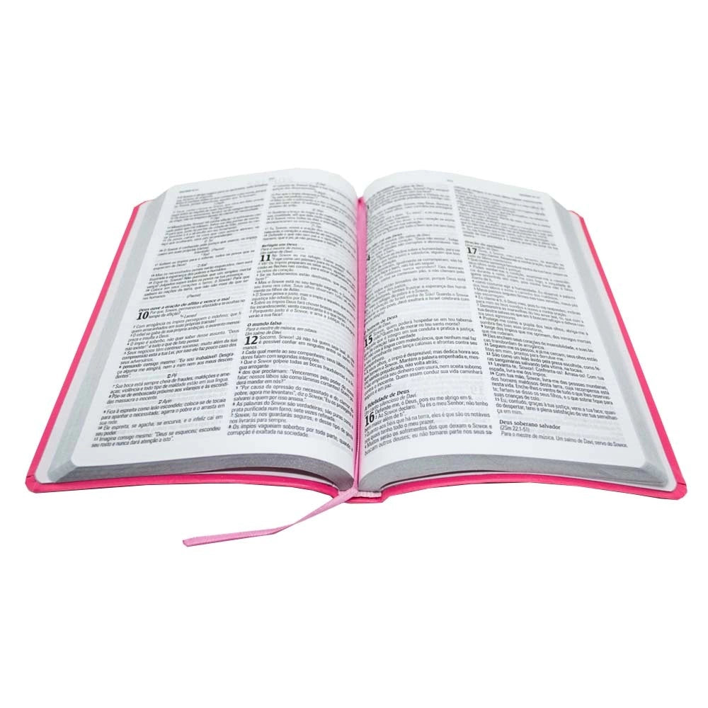 Updated King James Bible, luxury cover - pink