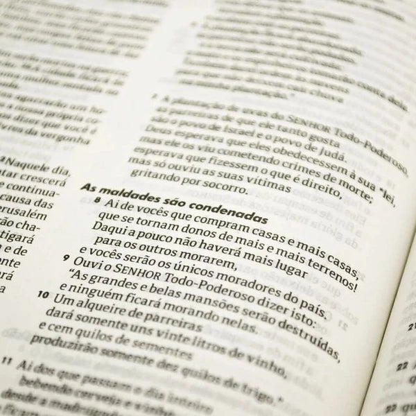 BÍBLIA SAGRADA INFANTIL NTLH | CAPA DURA SEJA FORTE E CORAJOSO