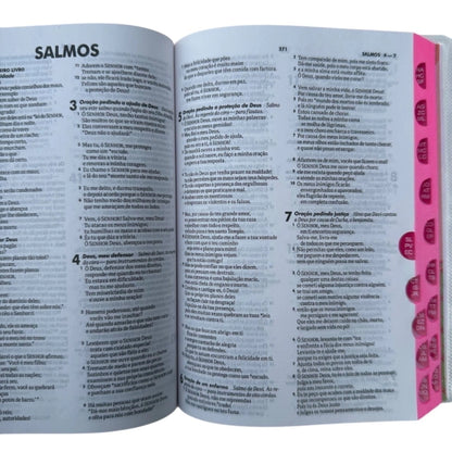 Holy Bible Smilingüido Yellow (NTLH40M-SMI)