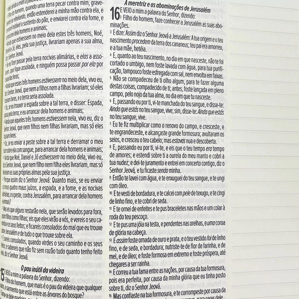 BÍBLIA LEIA E ANOTE ARC