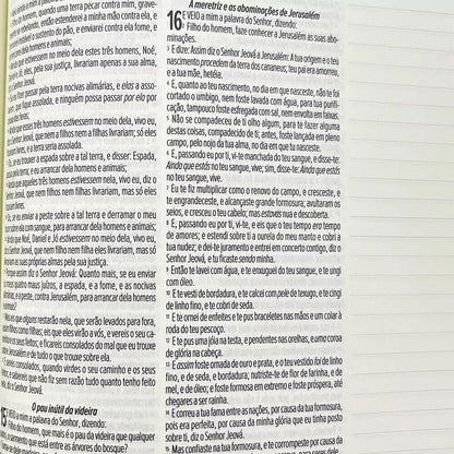BÍBLIA LEIA E ANOTE ARC