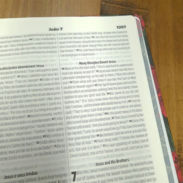 BÍBLIA NVT BILÍNGUE