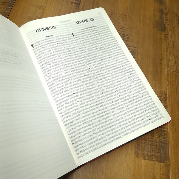 BÍBLIA NVT BILÍNGUE