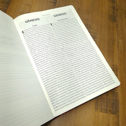 BÍBLIA NVT BILÍNGUE