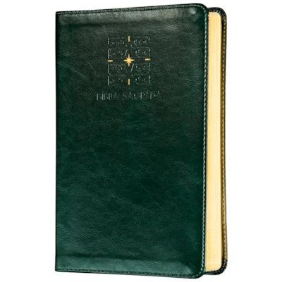 BÍBLIA THE PURPOSE BOOK | A21 | CAPA COURO SOFT VERDE LUZ
