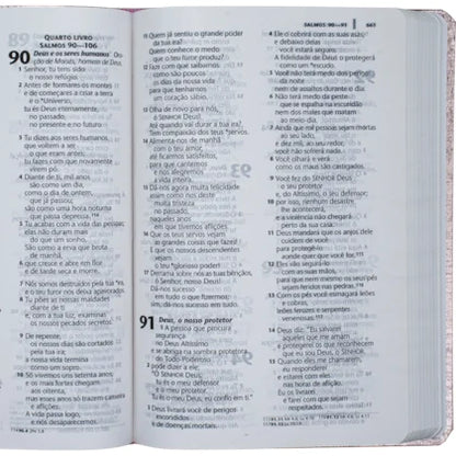 BÍBLIA SAGRADA NTLH LETRA GRANDE | SBB