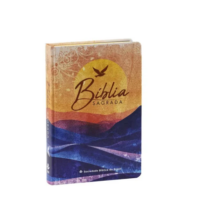 BÍBLIA SAGRADA YOUVERSION | NTLH | LETRA NORMAL | CAPA DURA | LARANJA GAIVOTA