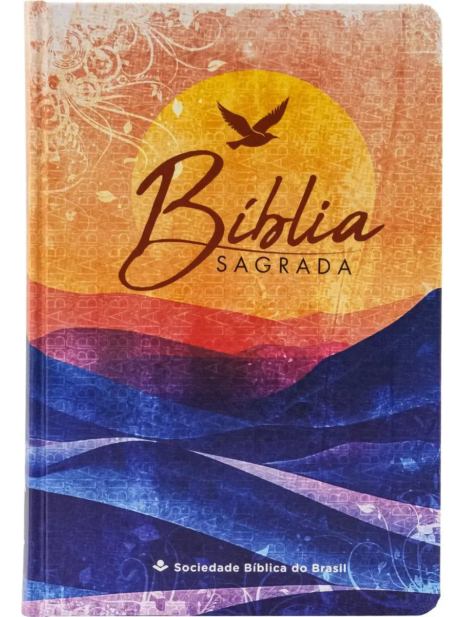 BÍBLIA SAGRADA YOUVERSION | NTLH | LETRA NORMAL | CAPA DURA | LARANJA GAIVOTA