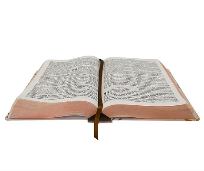 BÍBLIA SAGRADA SLIM COM HARPA CRISTÃ