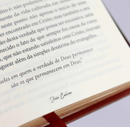Day by Day with Calvin John Calvin - Hardcover