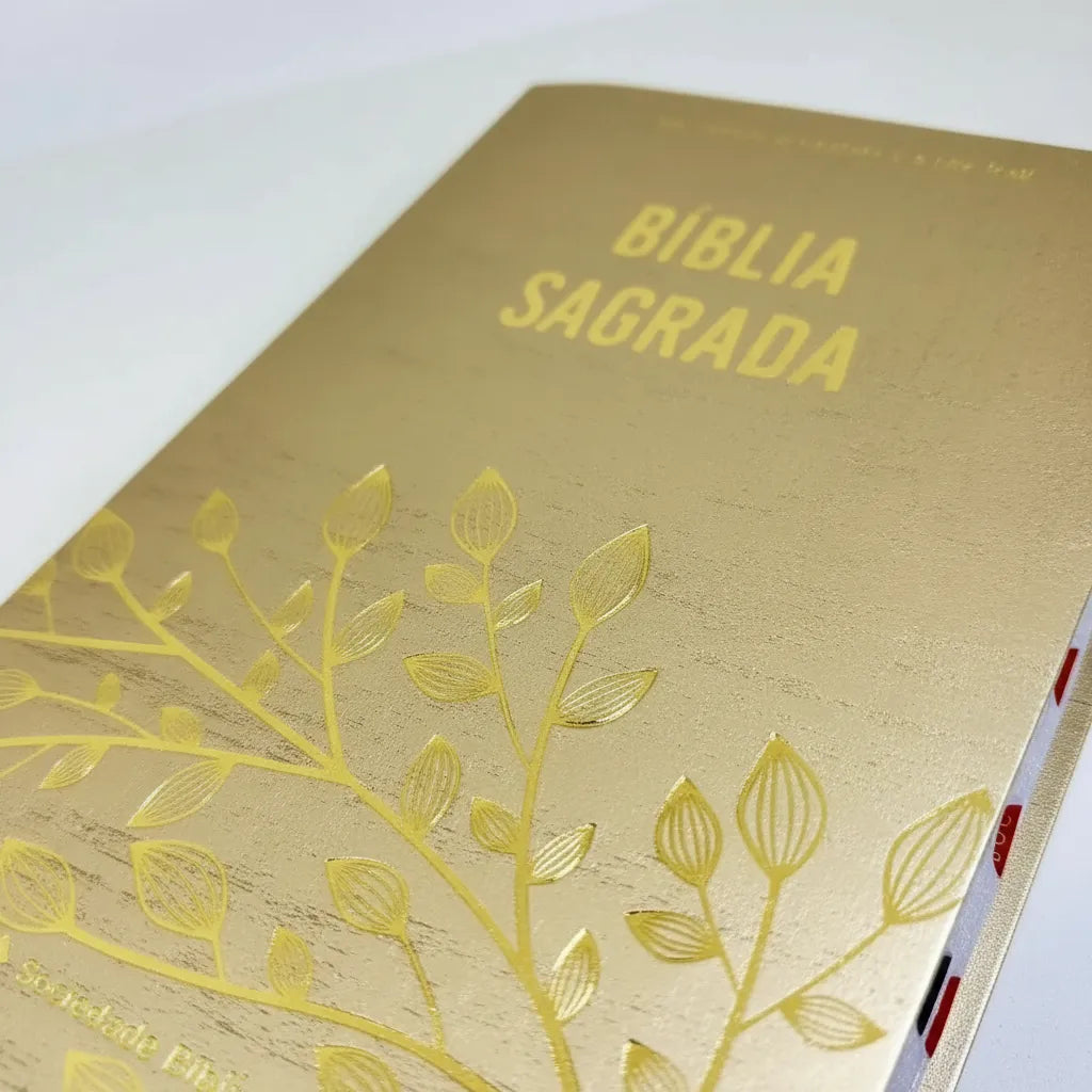 BÍBLIA SAGRADA NTLH SÉRIE CRISTAL – CAPA DOURADA COM ÍNDICE LATERAL