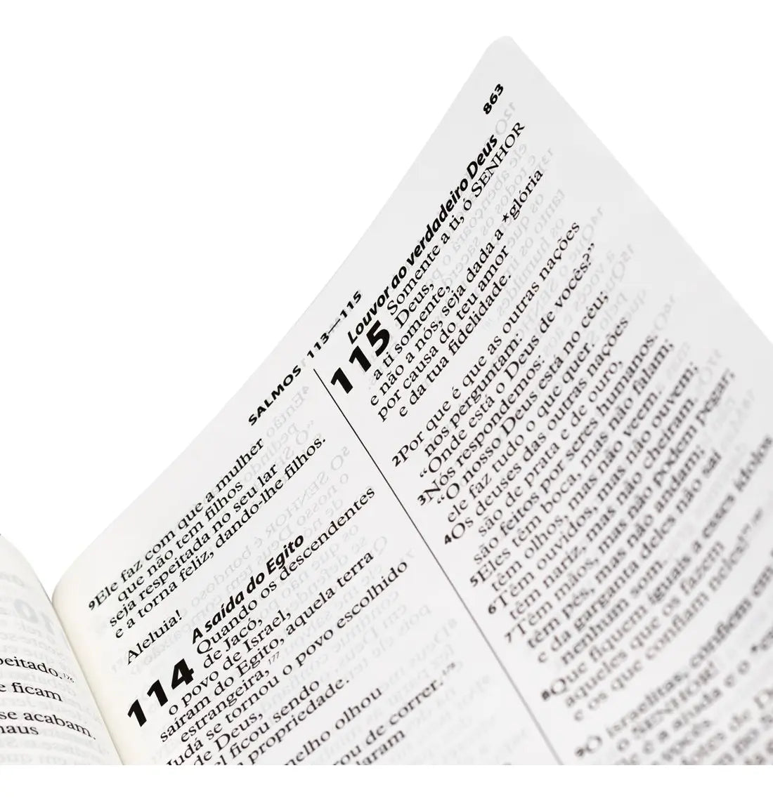 BÍBLIA SAGRADA NTLH COM ÍNDICE LATERAL E LETRA EXTRAGIGANTE