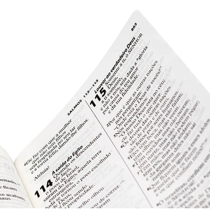 BÍBLIA SAGRADA NTLH COM ÍNDICE LATERAL E LETRA EXTRAGIGANTE