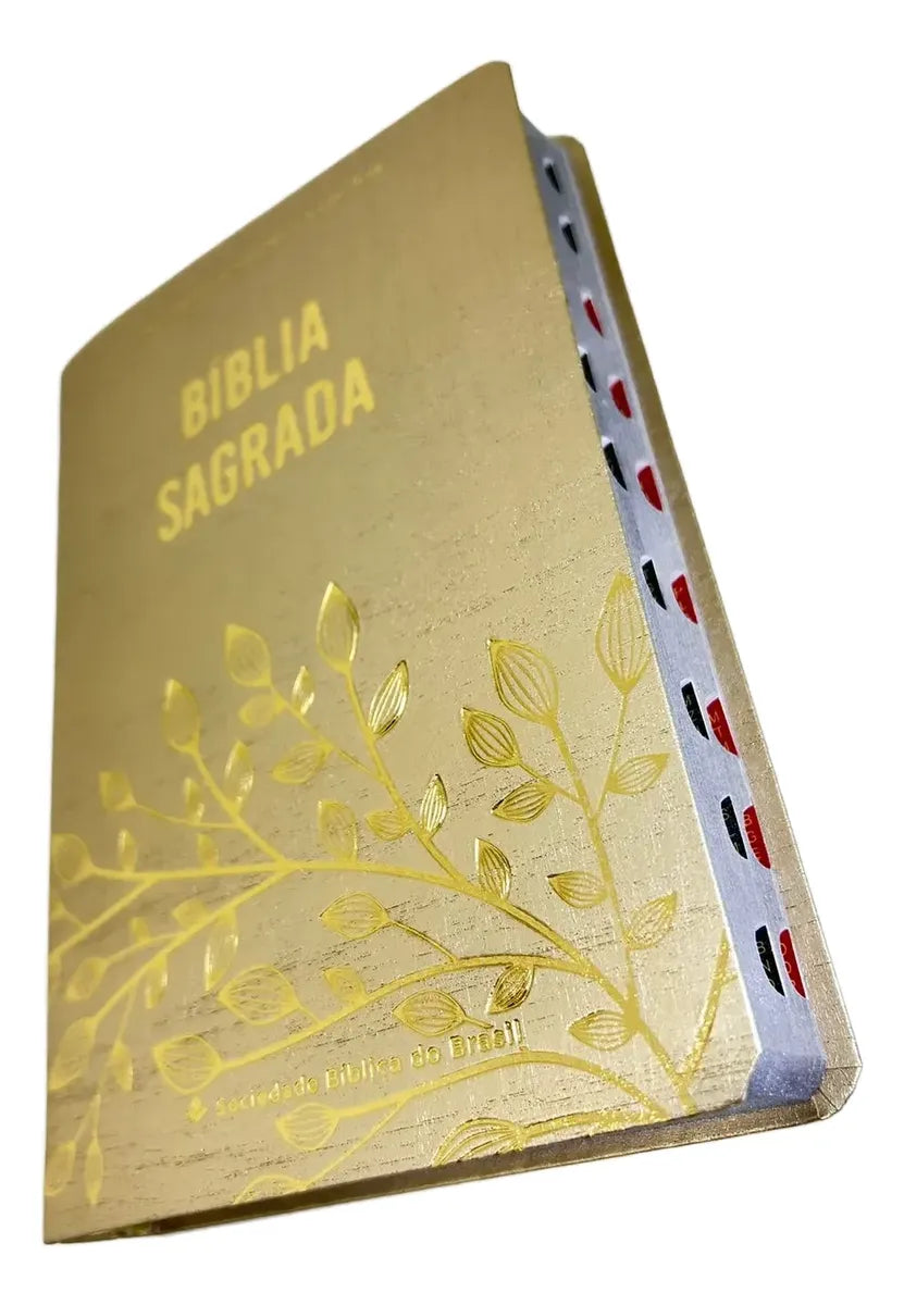 BÍBLIA SAGRADA NTLH SÉRIE CRISTAL – CAPA DOURADA COM ÍNDICE LATERAL