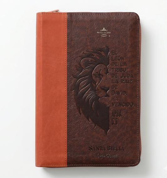 BÍBLIA RVR 1960 MANUAL BI-COLOR - SOFISTICAÇÃO E LEITURA IMPECÁVEL