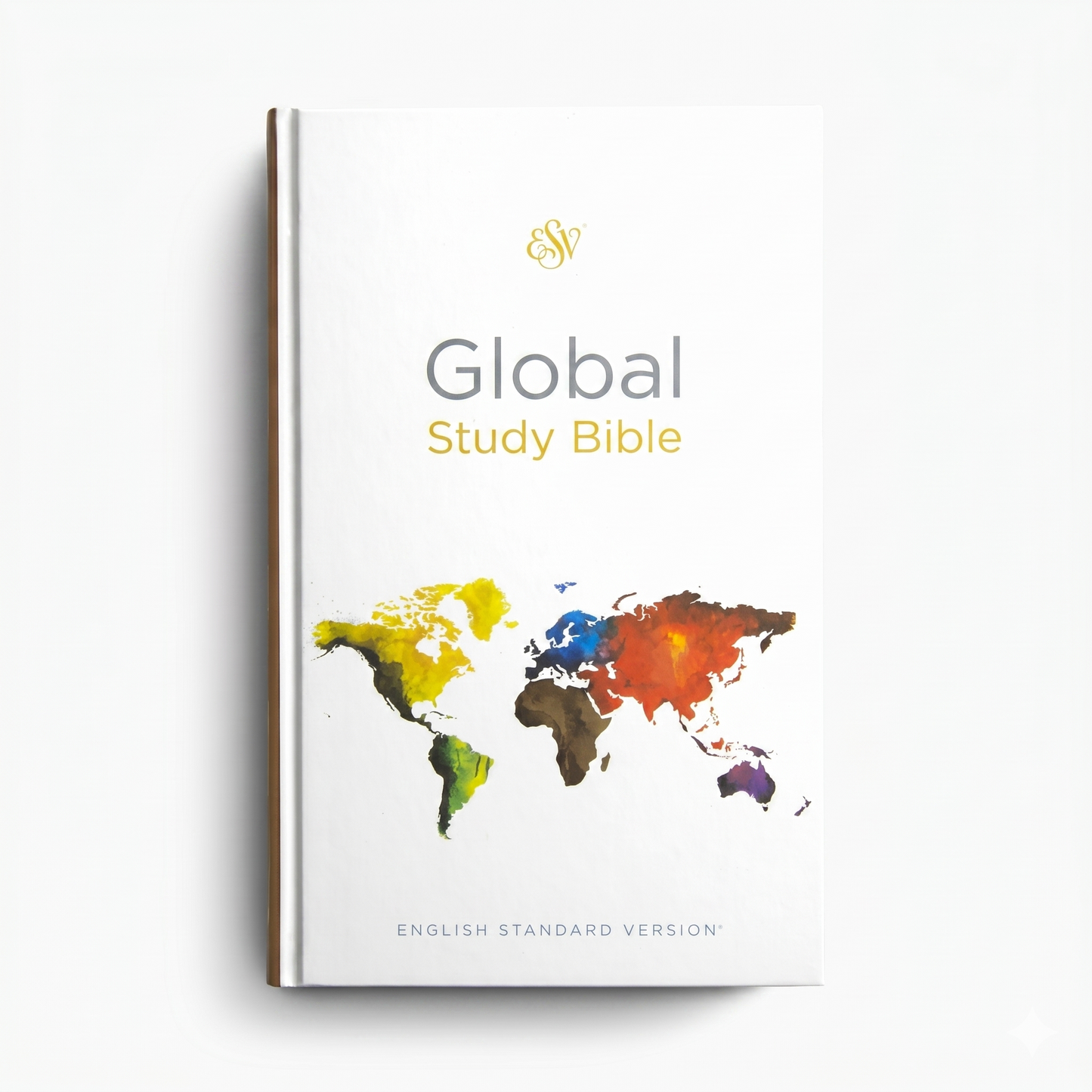 BÍBLIA GLOBAL STUDY BIBLE