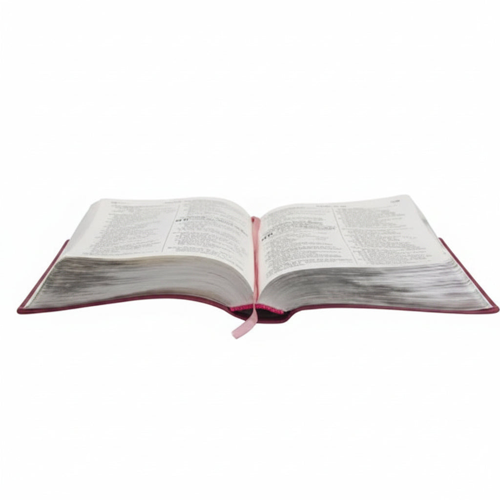 BÍBLIA SAGRADA NTLH | LETRA GIGANTE | CAPA DURA ROSA | ÍNDICE DIGITAL