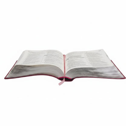 BÍBLIA SAGRADA NTLH | LETRA GIGANTE | CAPA DURA ROSA | ÍNDICE DIGITAL