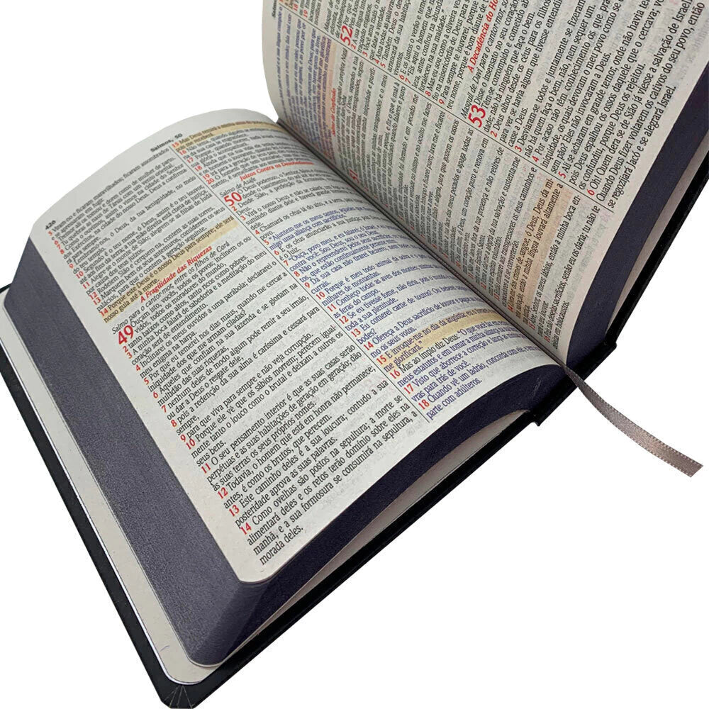 BIBLIA NVA ELE E O REIS DOS REIS