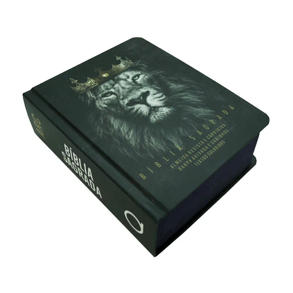 BIBLIA ARC COM HARPA LEAO REIS DOS REIS