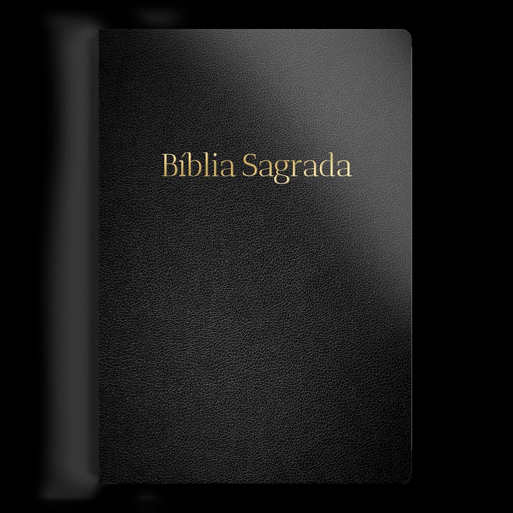 RC Slim Bible, Normal Letter, Luxury - Black