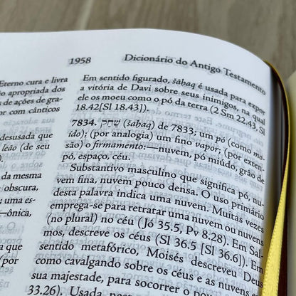 BÍBLIA DE ESTUDO PALAVRAS - CHAVE MARROM