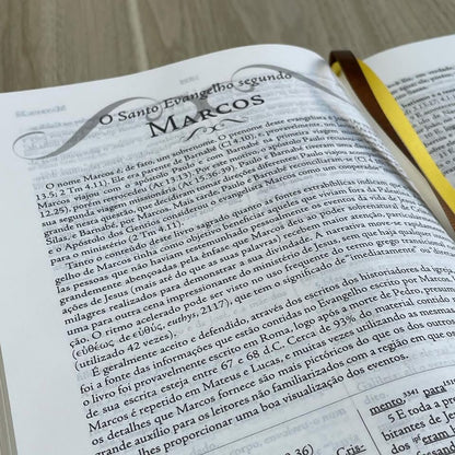 BÍBLIA DE ESTUDO PALAVRAS - CHAVE MARROM