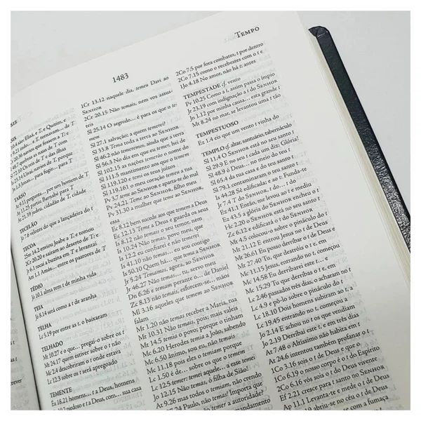 BÍBLIA DE ESTUDO PALAVRAS - CHAVE PRETA