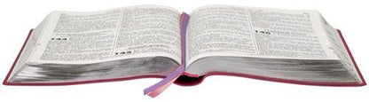 Pink Extra Large Print Bible - ARC085TILEXGLV