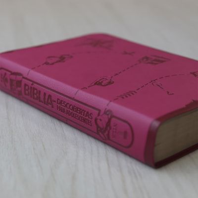 Discovery Bible for Teens NLTH065BDA - Pink