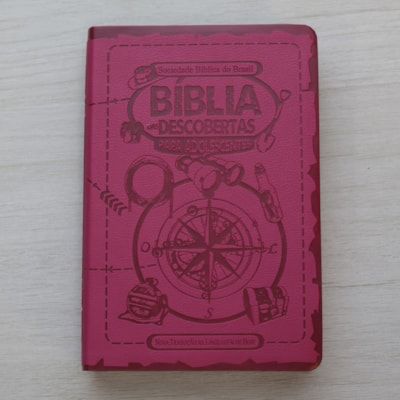 Discovery Bible for Teens NLTH065BDA - Pink
