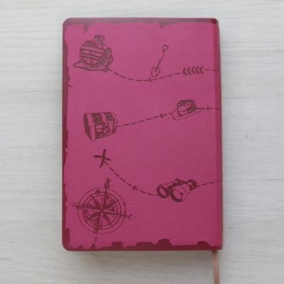 Discovery Bible for Teens NLTH065BDA - Pink