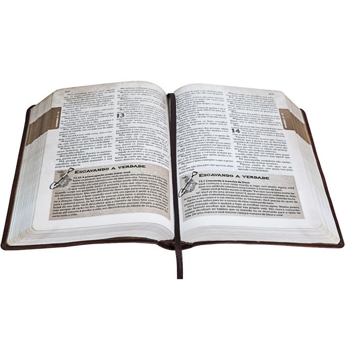 Discovery Bible for Teens NLTH065B - Chestnut