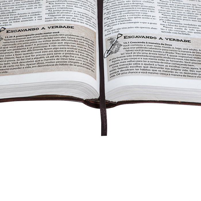 Discovery Bible for Teens NLTH065BDA - Pink