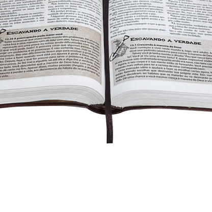 Discovery Bible for Teens NLTH065BDA - Pink