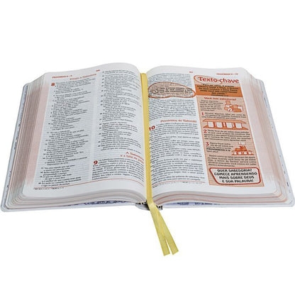 Bible of Discoveries