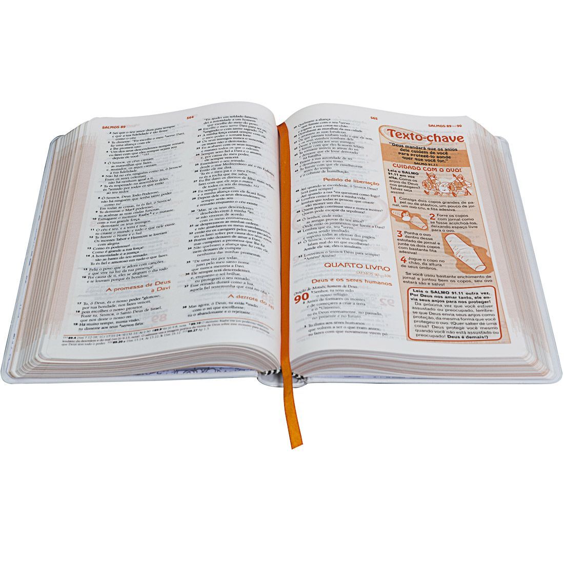 Discoveries Bible (pink)