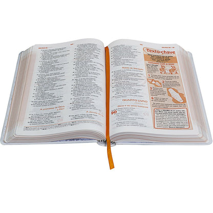 Discoveries Bible (pink)