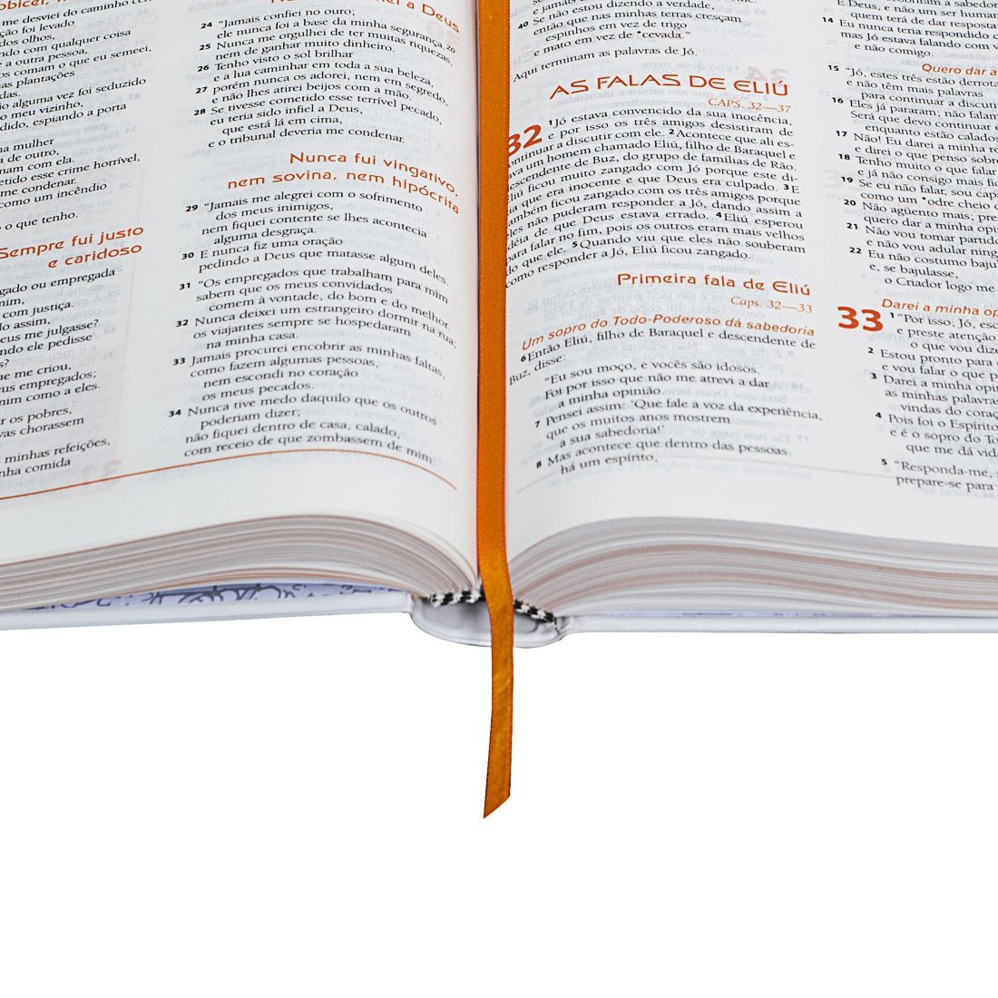 Discoveries Bible (pink)
