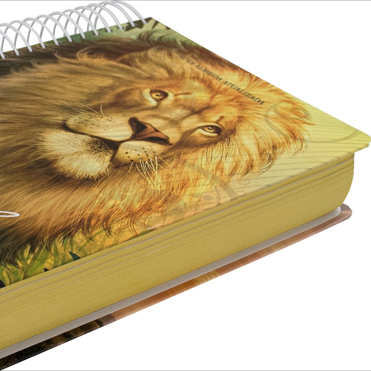 Holy Bible Journey | Lion (NA083JR)